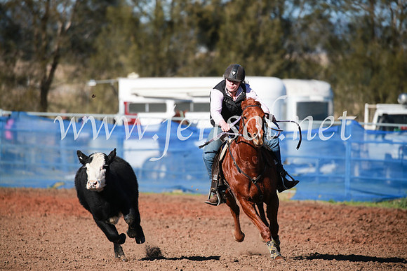 CCCampdraft2016_5126