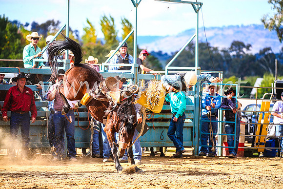 TumutRodeo2017_1629