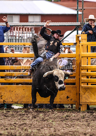 IMG_0097Qbn1