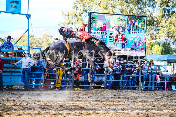 TumutRodeo2017_2990