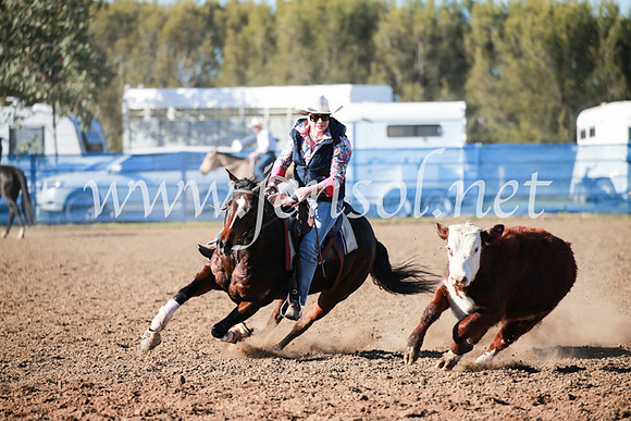 CCCampdraft2016_5102