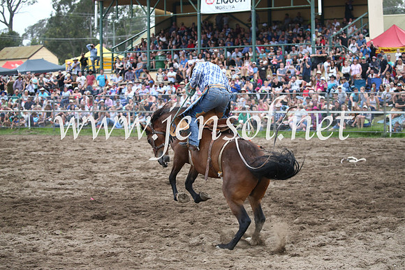 MoruyaRodeo2017_7375