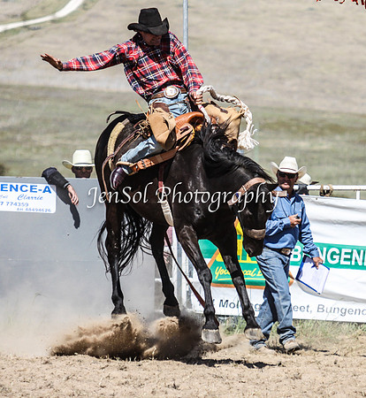 Bungendore2011_1289