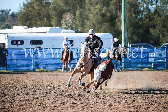 CCCampdraft2016_5064