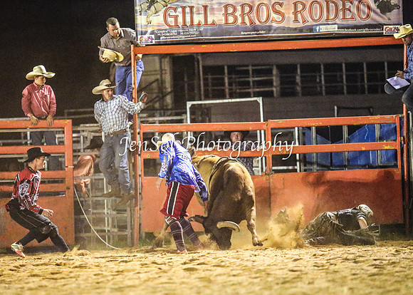 ForbesRodeo2014_4311