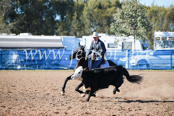 CCCampdraft2016_5134