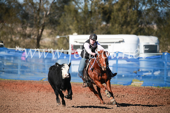 CCCampdraft2016_5116