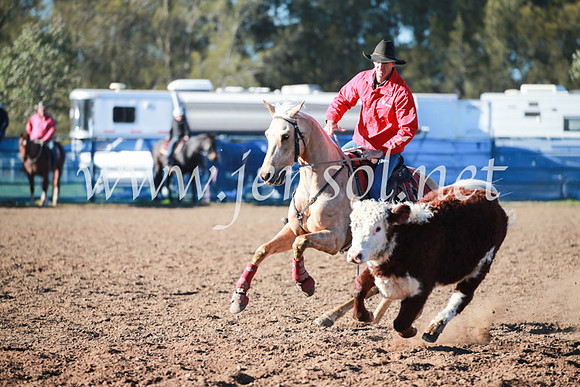 CCCampdraft2016_5027