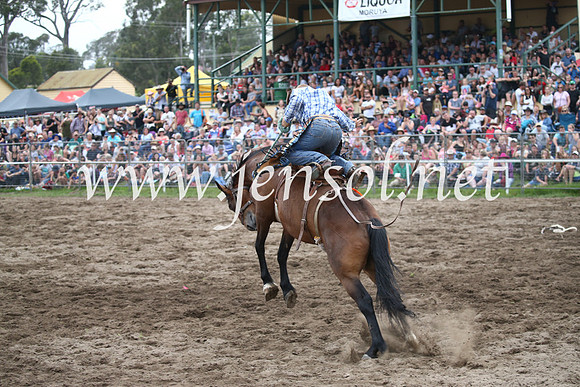 MoruyaRodeo2017_7374