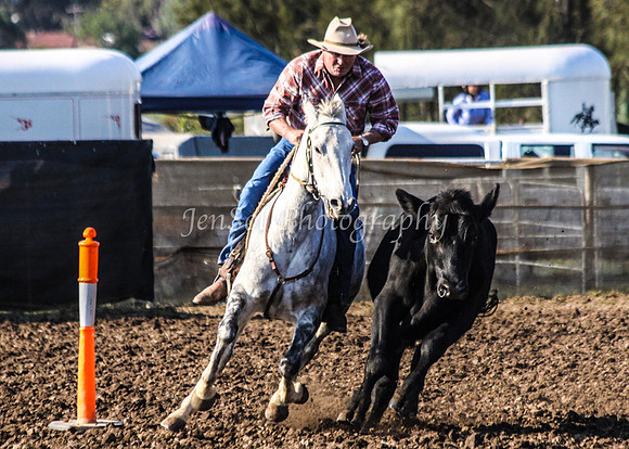 Novice 286