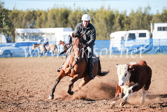 CCCampdraft2016_5076