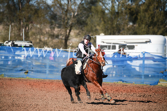 CCCampdraft2016_5124