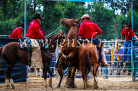 TumutRodeo2017_1387