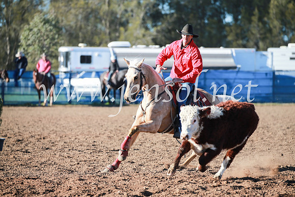 CCCampdraft2016_5026