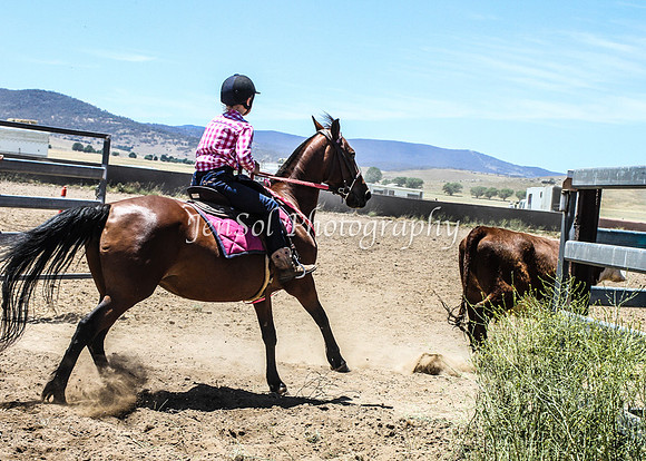 AdaminabyCampdraft2015_0738