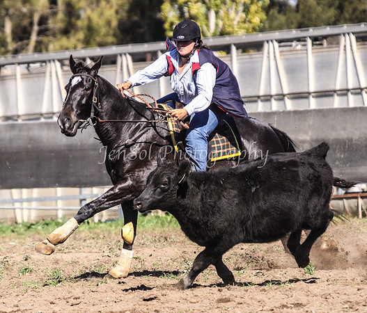 IMG_0496Jugiong1