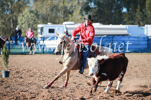 CCCampdraft2016_5023