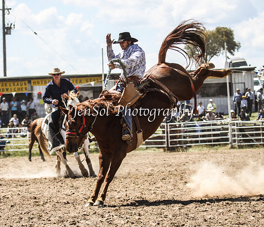 Bungendore2011_0990