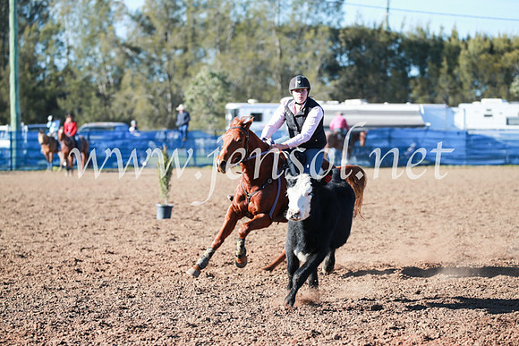 CCCampdraft2016_5110