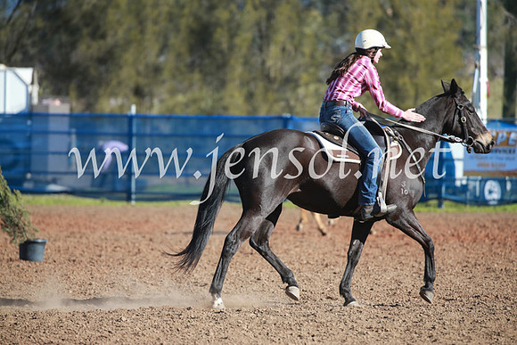 CCCampdraft2016_6249
