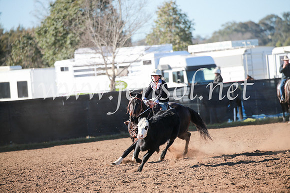 CCCampdraft2016_5171