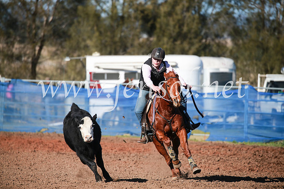 CCCampdraft2016_5115