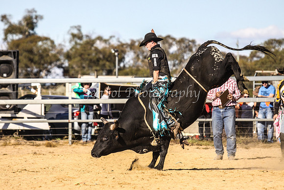 IMG_0667Jindy
