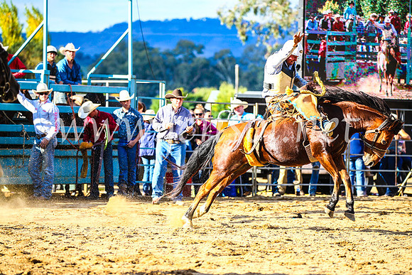 TumutRodeo2017_2333