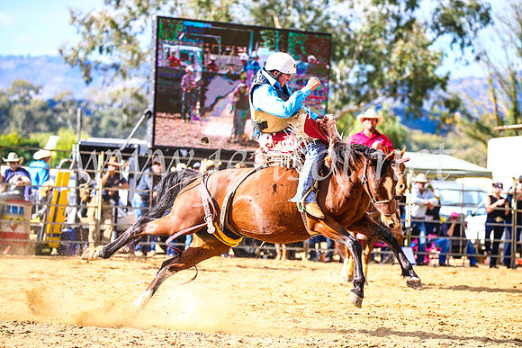 TumutRodeo2017_1809