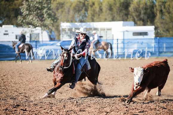 CCCampdraft2016_5099