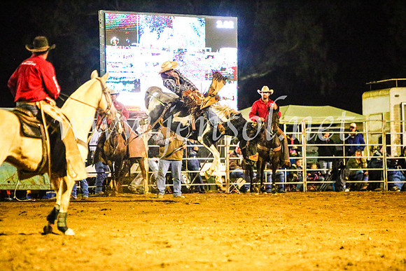 TumutRodeo2017_4640