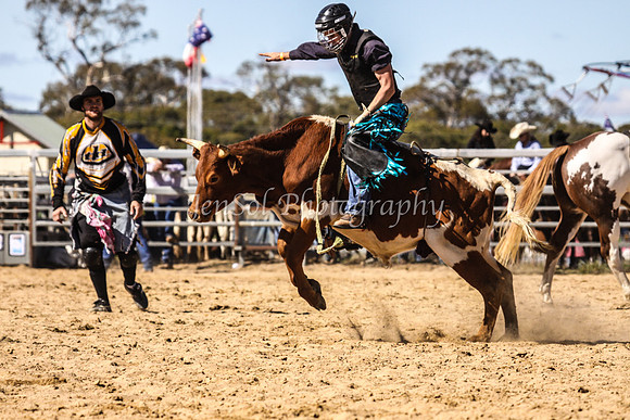 IMG_0248Jindy