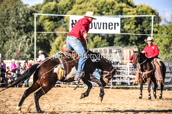 TumutRodeo2014_3094