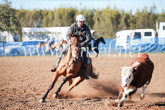 CCCampdraft2016_5073
