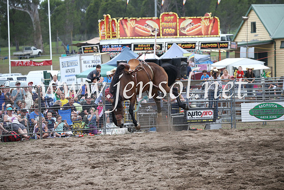MoruyaRodeo2017_7399