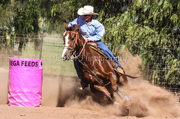 Dubbo2 262