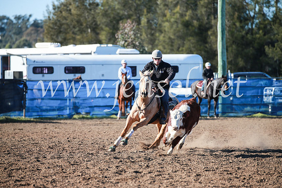 CCCampdraft2016_5063
