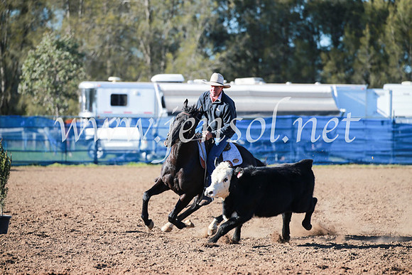 CCCampdraft2016_5136