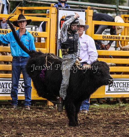 IMG_0050Qbn1