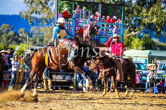 TumutRodeo2017_2505
