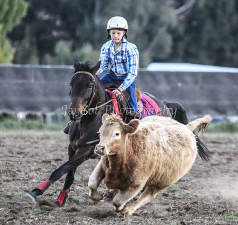 IMG_0328Jugiong2