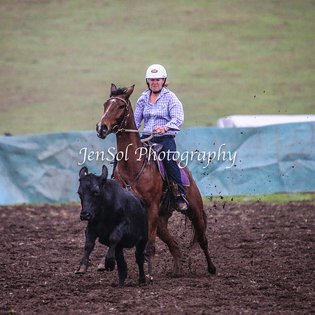 CabanandraCampdraft2014_3004