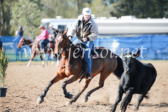 CCCampdraft2016_5206