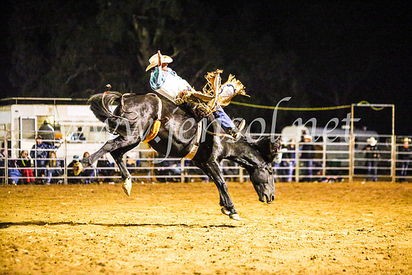 TumutRodeo2017_4708