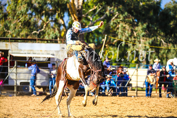 TumutRodeo2017_2564