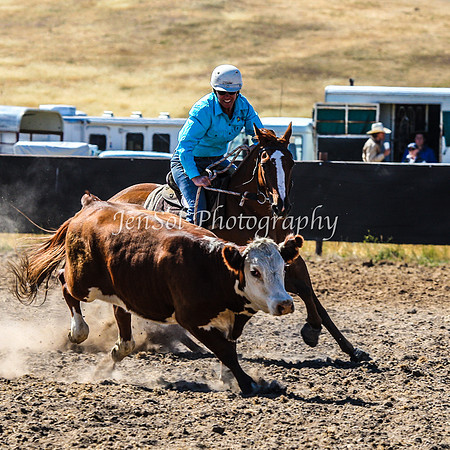 AdaminabyCampdraft2015_0168