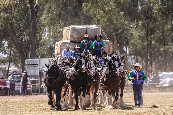 Barellan1_0089