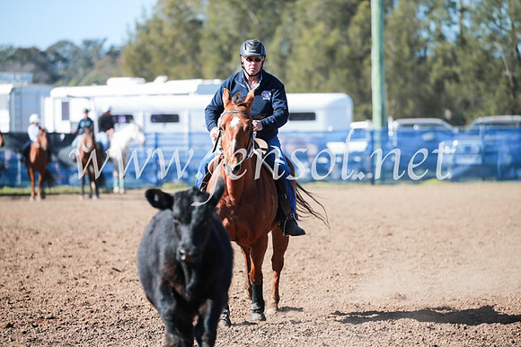 CCCampdraft2016_5263
