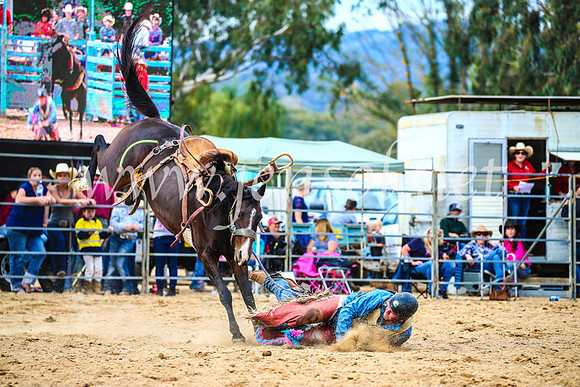 TumutRodeo2017_2247