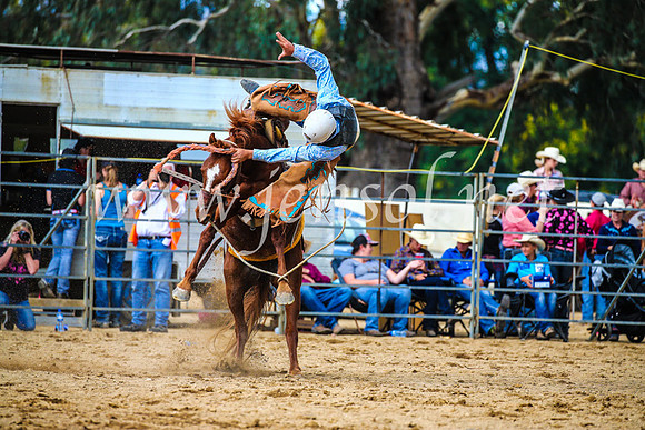 TumutRodeo2017_1545